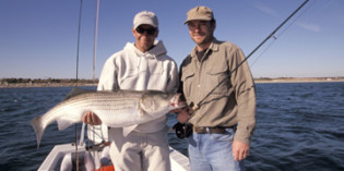 A model pension fund