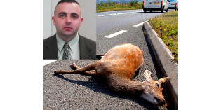 Troopers forced to feed their kids road kill