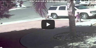 It ain’t the size of the dog in the fight…