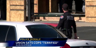 Too Scared to do Their Jobs