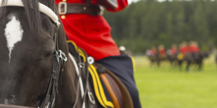 RCMP Hoping Money Talks