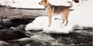 No Good Deed Goes Unpunished