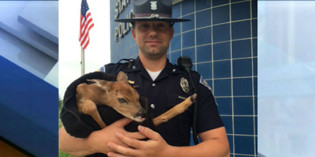 A Picture’s Worth a Thousand Words