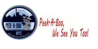 Sergeants Union Blasts Politicos