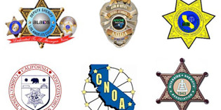 Strength in Numbers: The More the Better